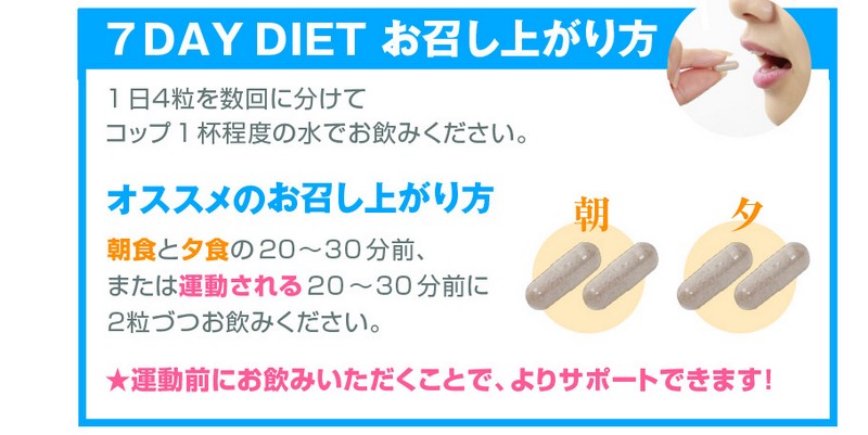 �Z�u���f�C�_�C�G�b�g���T�C�g